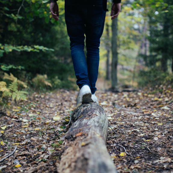 walking on a log in a wood